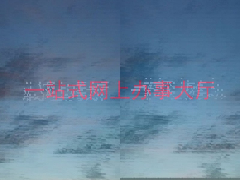 一站式网上办事大厅