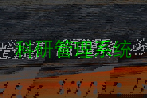 科研管理系统