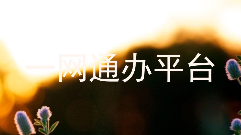 一网通办平台
