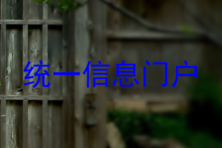 统一信息门户