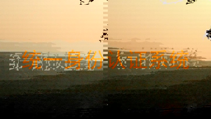 统一身份认证系统