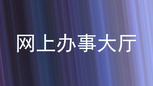 网上办事大厅