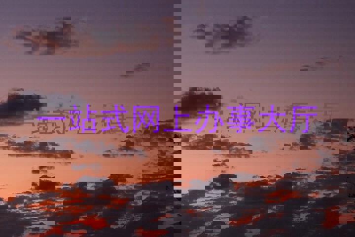 一站式网上办事大厅