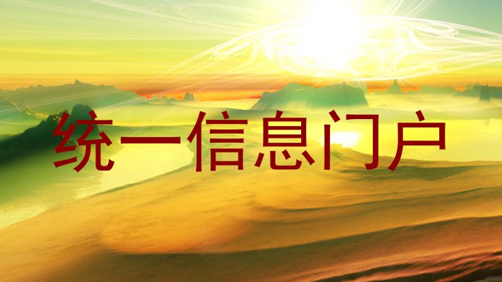 统一信息门户