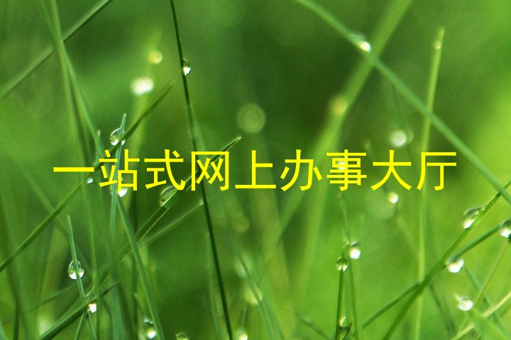 一站式网上办事大厅