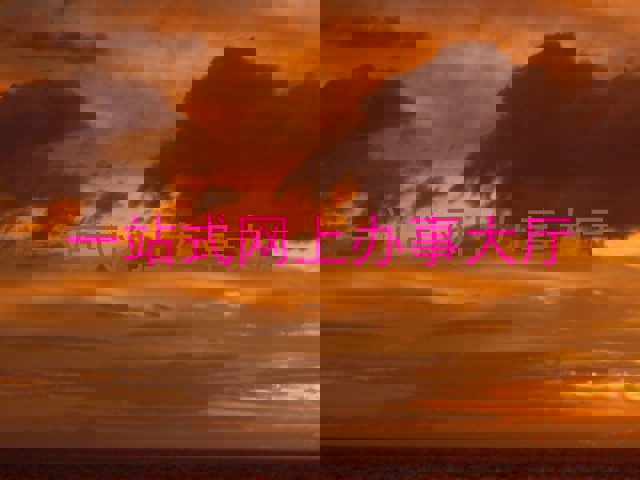 一站式网上办事大厅