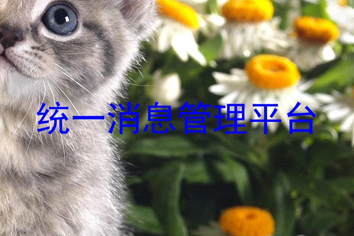 统一消息管理平台