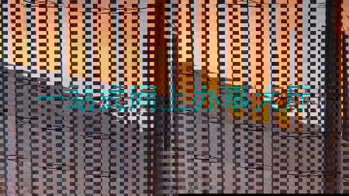 一站式网上办事大厅