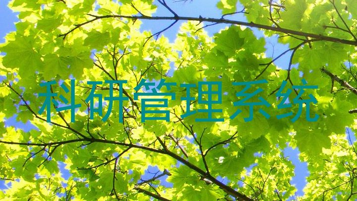 科研管理系统