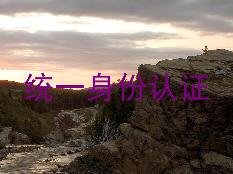 统一身份认证