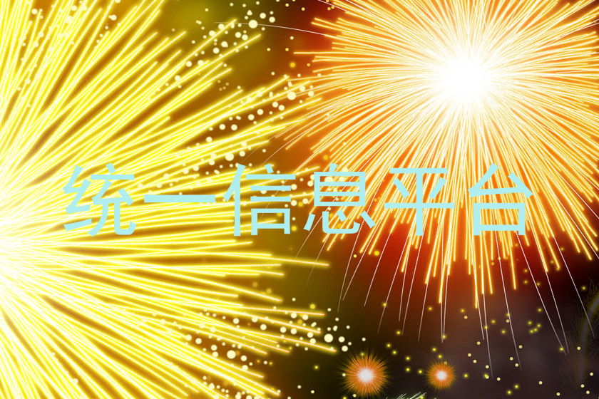 统一信息平台