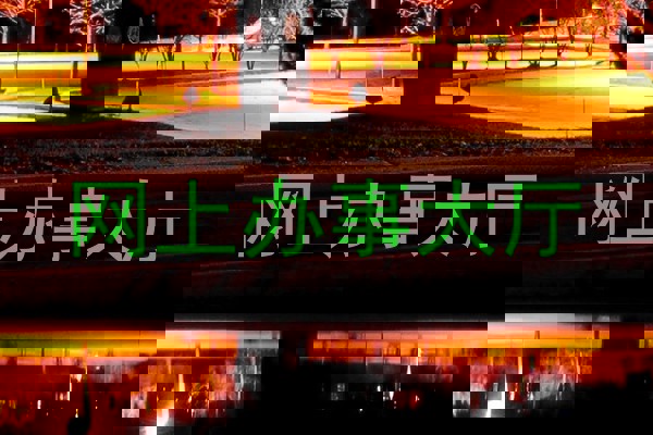 网上办事大厅