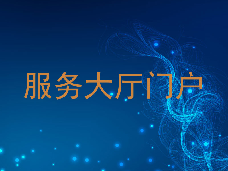 服务大厅门户