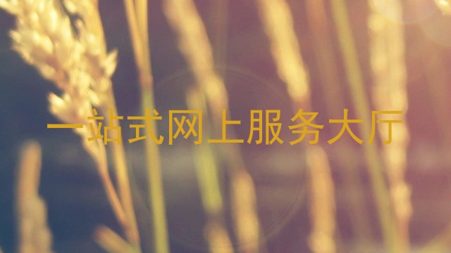 一站式网上服务大厅