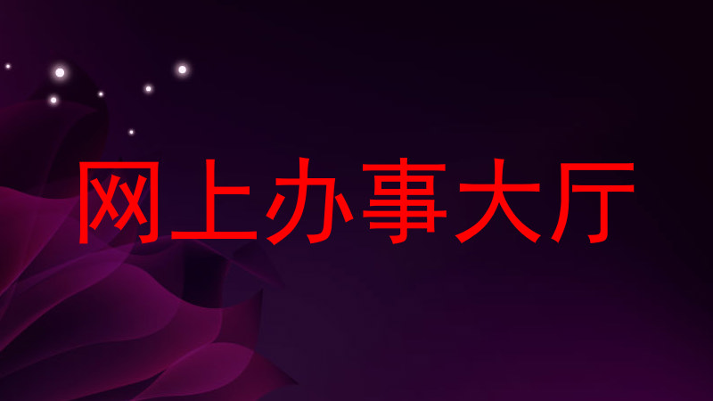 网上办事大厅