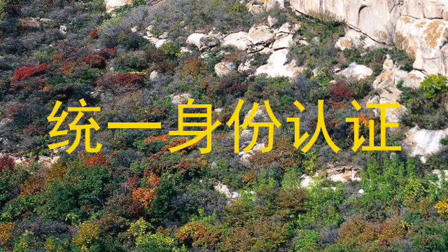 统一身份认证