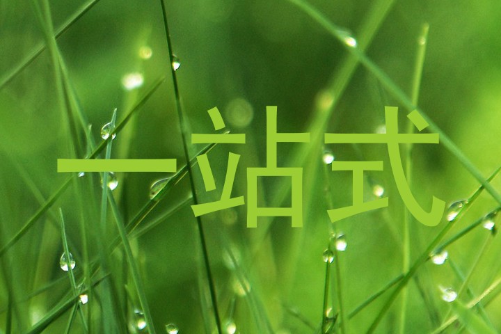 一站式