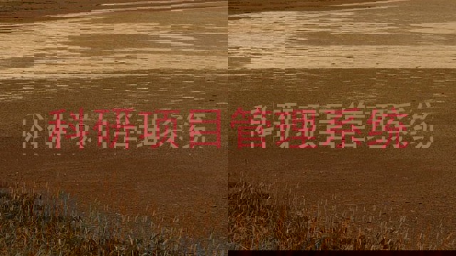 科研项目管理系统