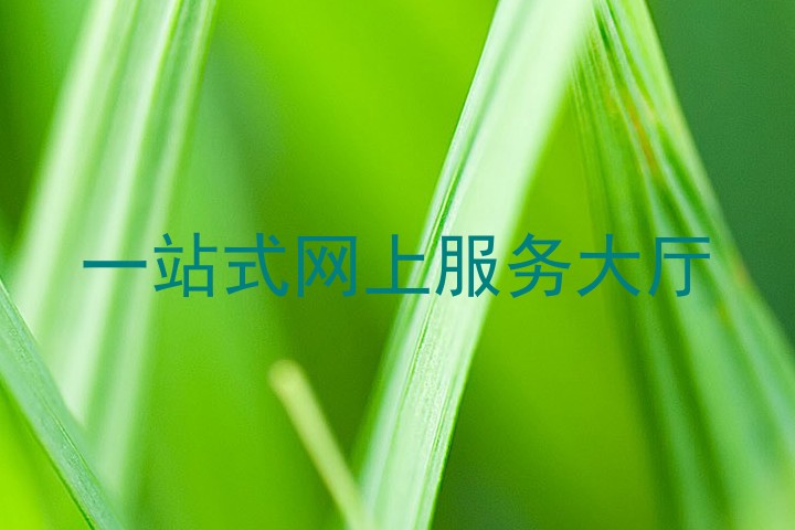 一站式网上服务大厅