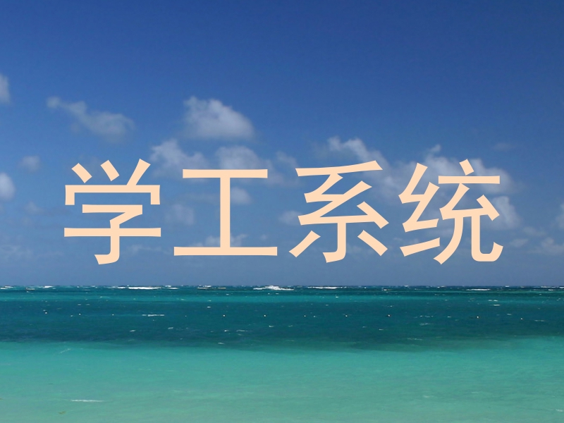 学工系统
