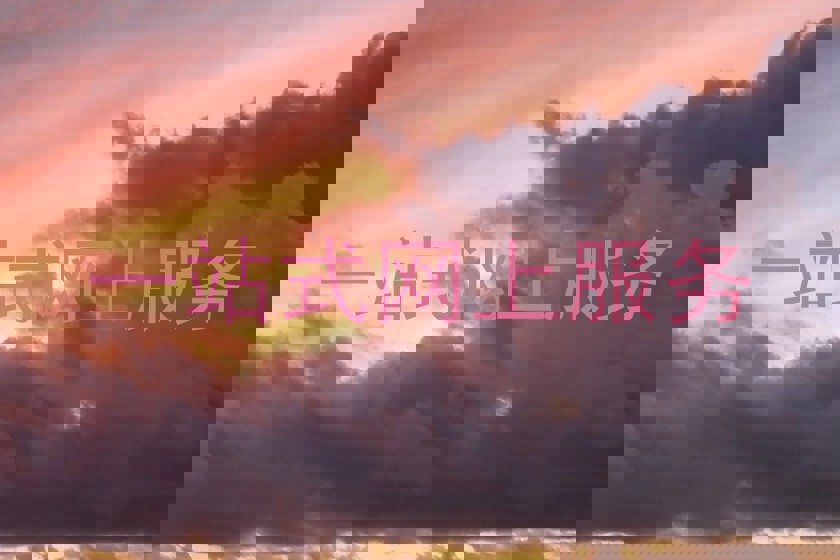 一站式网上服务