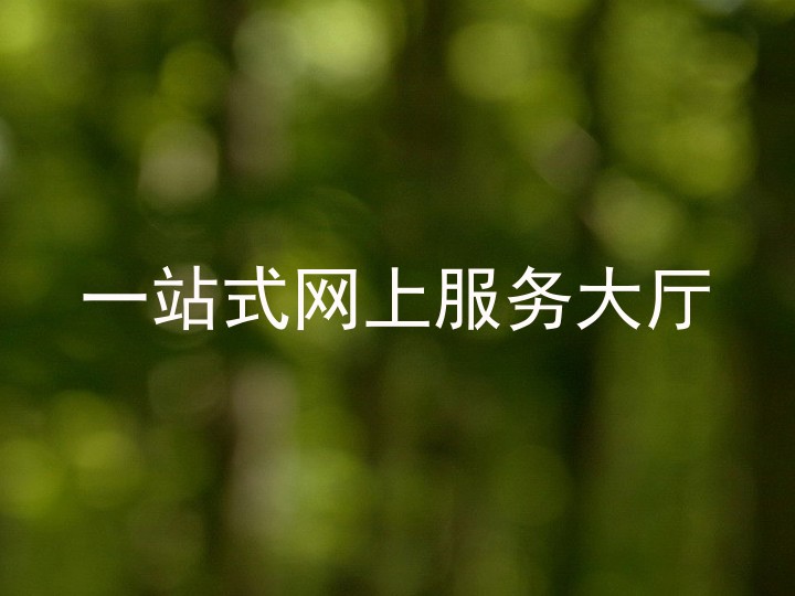 一站式网上服务大厅