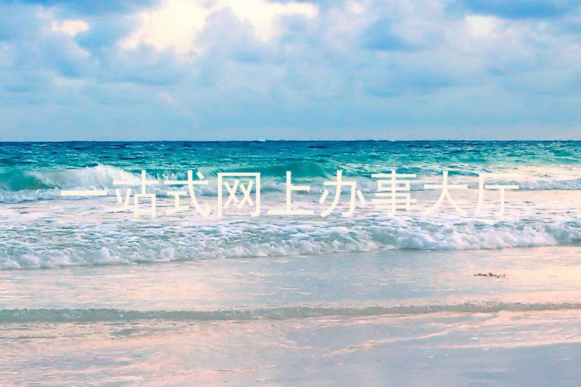 一站式网上办事大厅