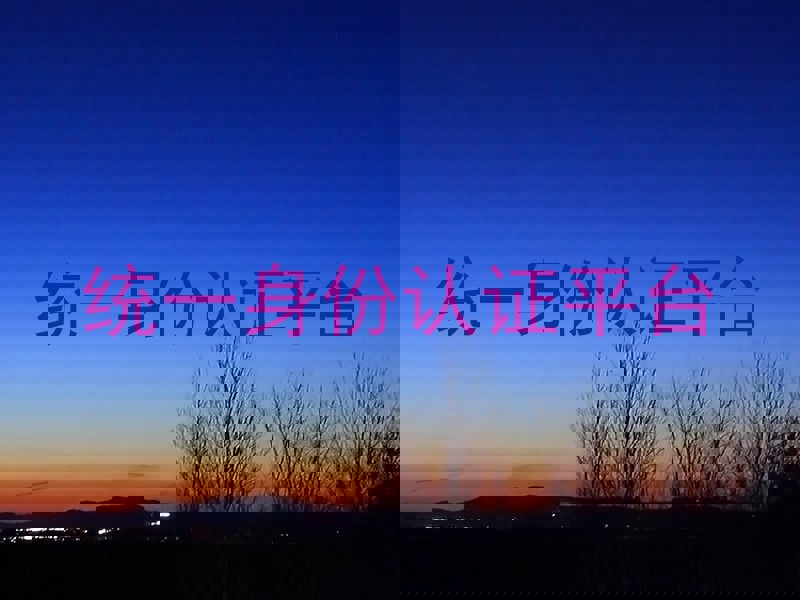 统一身份认证平台