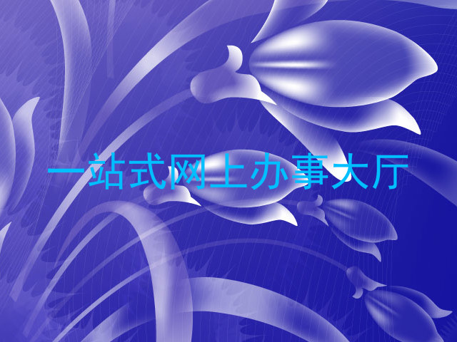 一站式网上办事大厅