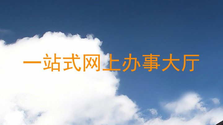 一站式网上办事大厅