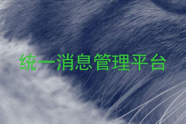 统一消息管理平台