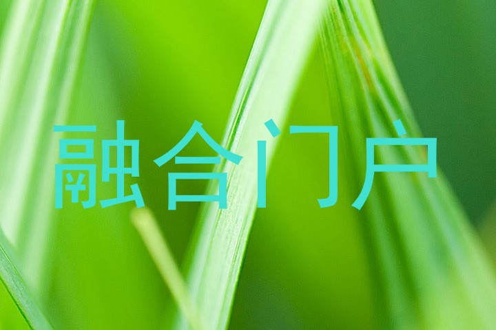 融合门户