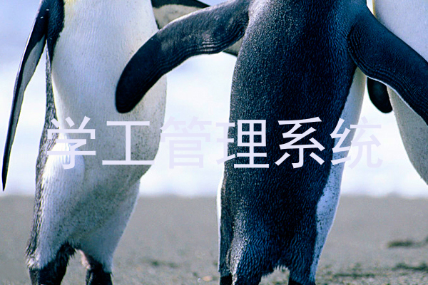 学工管理系统