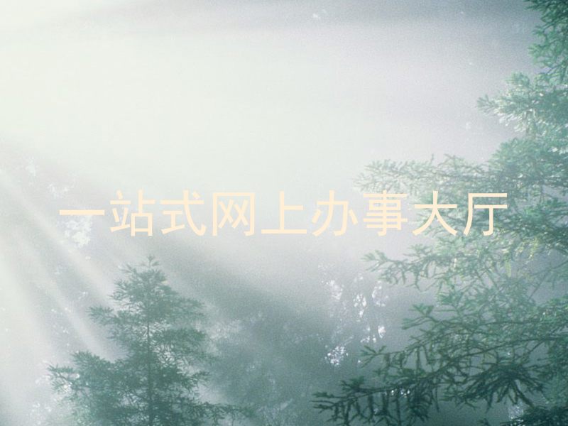 一站式网上办事大厅