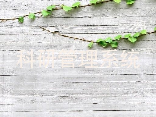 科研管理系统