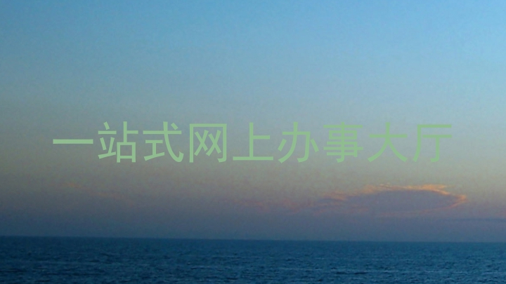 一站式网上办事大厅