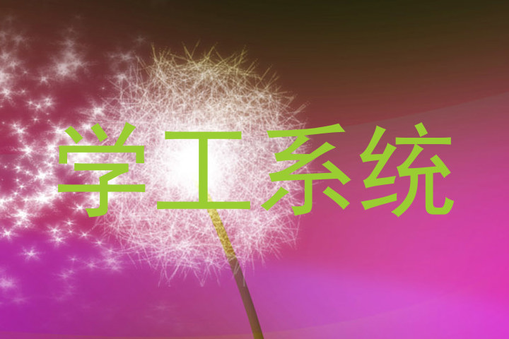 学工系统