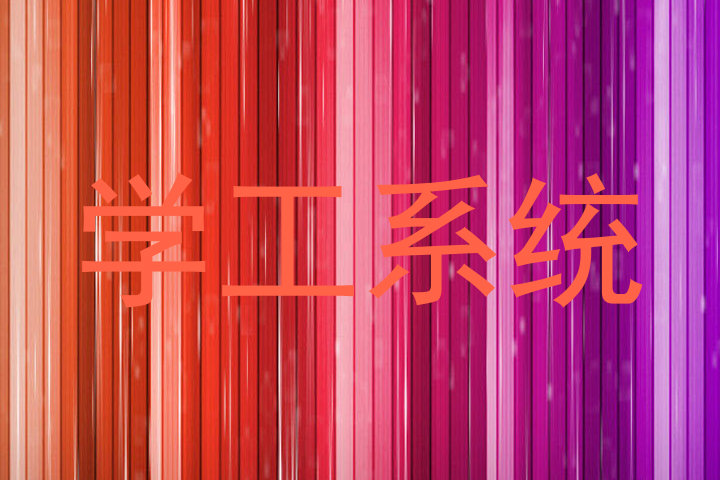 学工系统