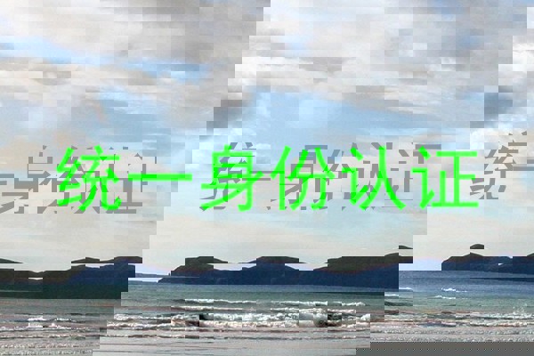 统一身份认证