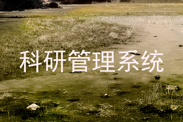科研管理系统