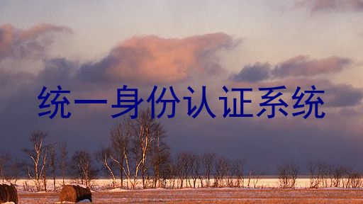 统一身份认证系统