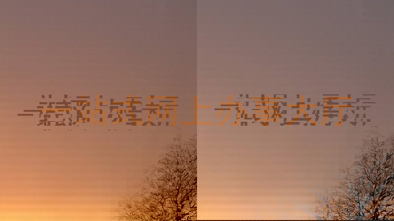 一站式网上办事大厅