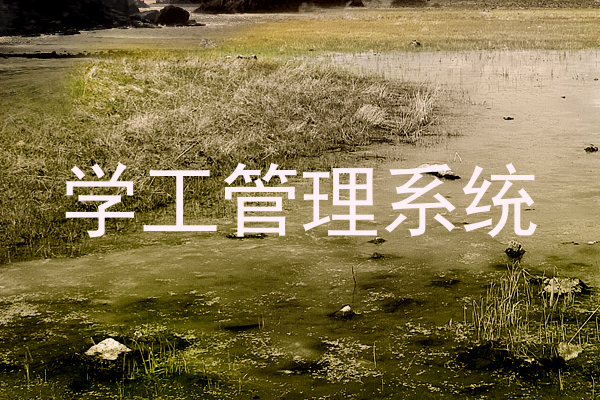 学工管理系统