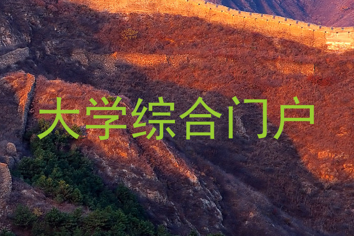 大学综合门户
