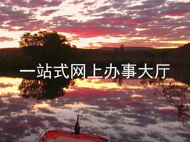 一站式网上办事大厅