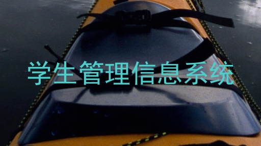 学生管理信息系统