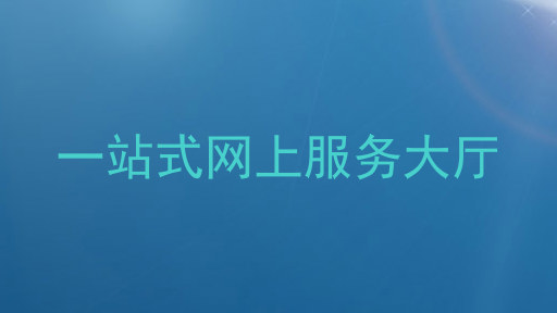 一站式网上服务大厅