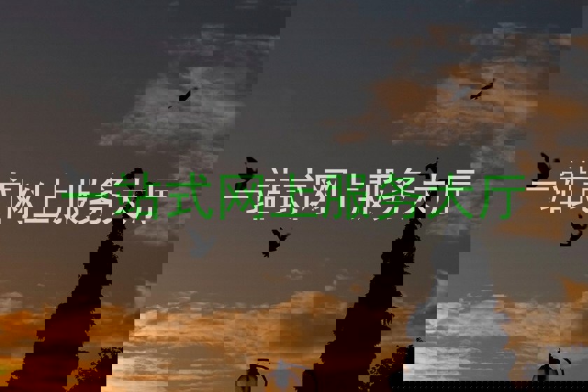 一站式网上服务大厅