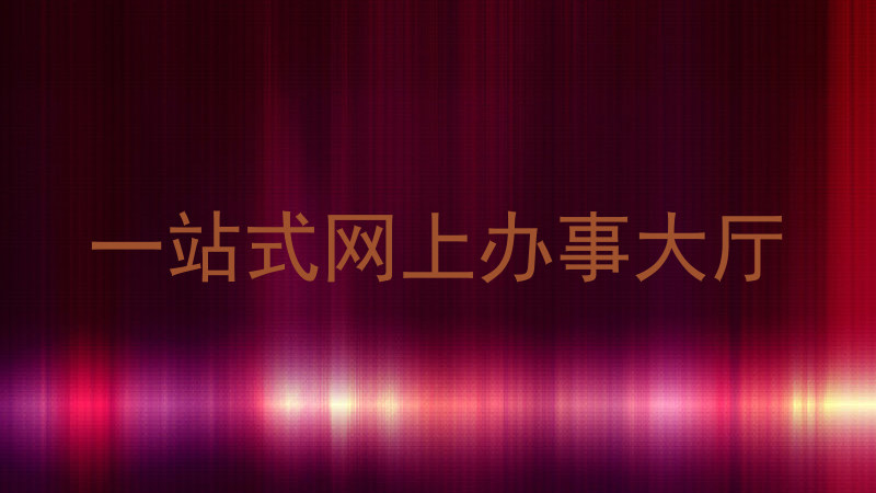 一站式网上办事大厅