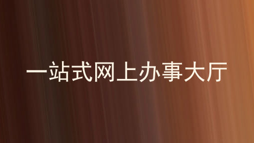 一站式网上办事大厅